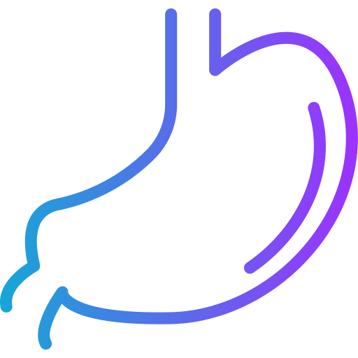 estómago icono gratis