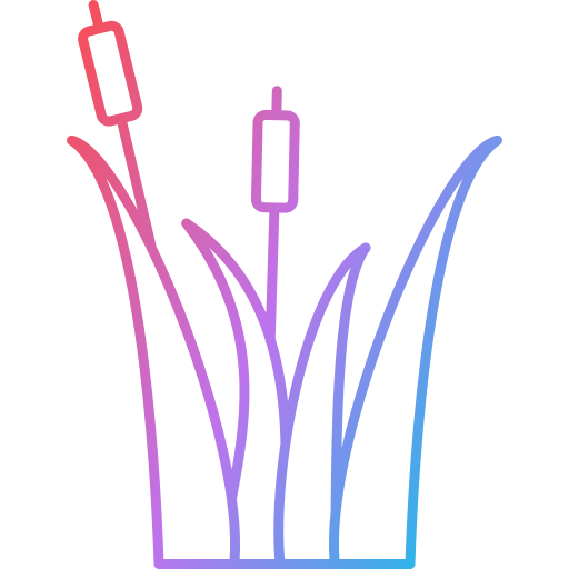 Рид бесплатно иконка