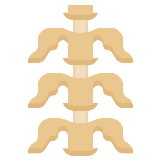 columna vertebral icono gratis