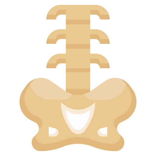 Backbone free icon Backbone free icon