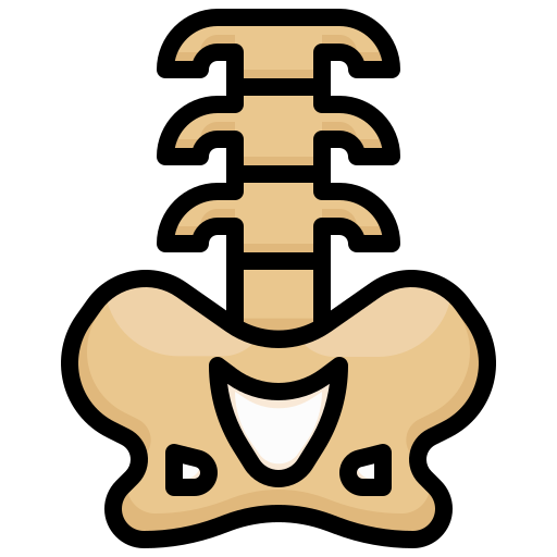 columna vertebral icono gratis