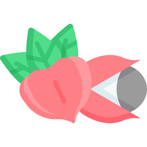 Guarana free icon
