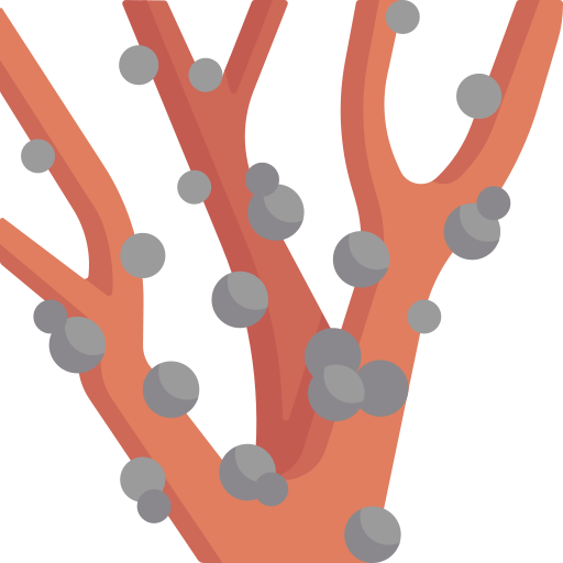 jabuticaba бесплатно иконка