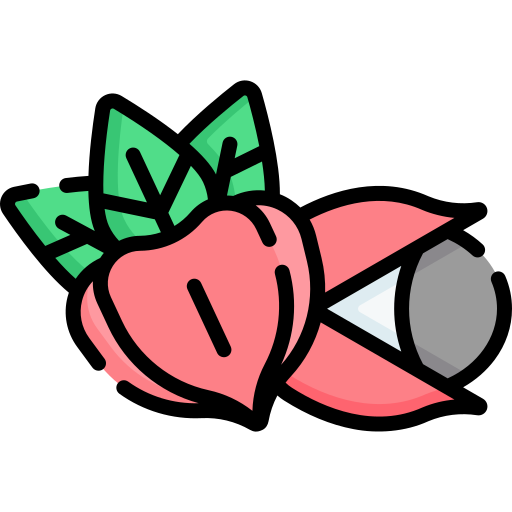 Guarana free icon