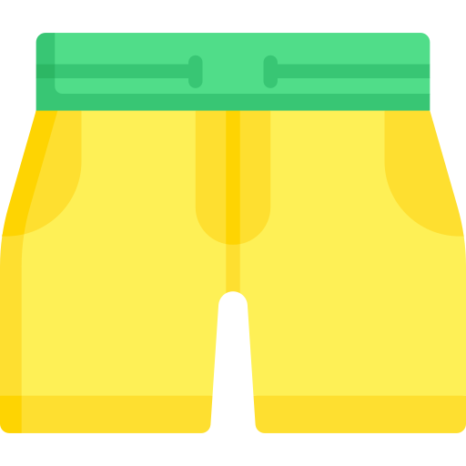 Shorts Special Flat icon