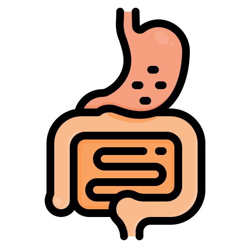 Digestive system free icon