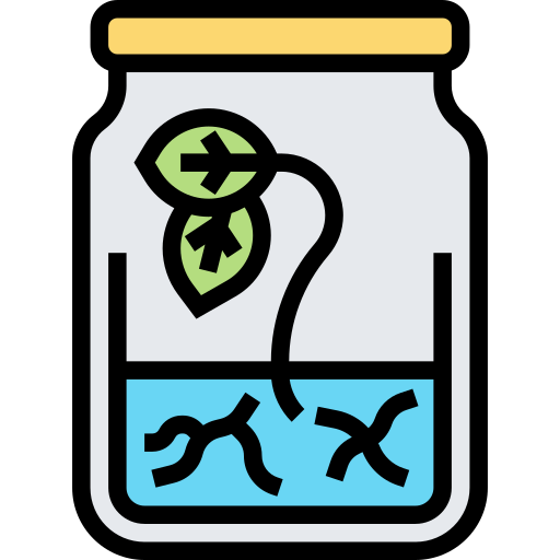 Росток бесплатно иконка