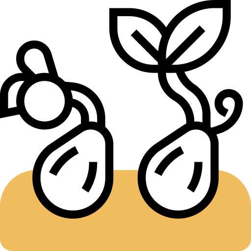 semillas icono gratis