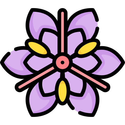 Saffron Special Lineal color icon