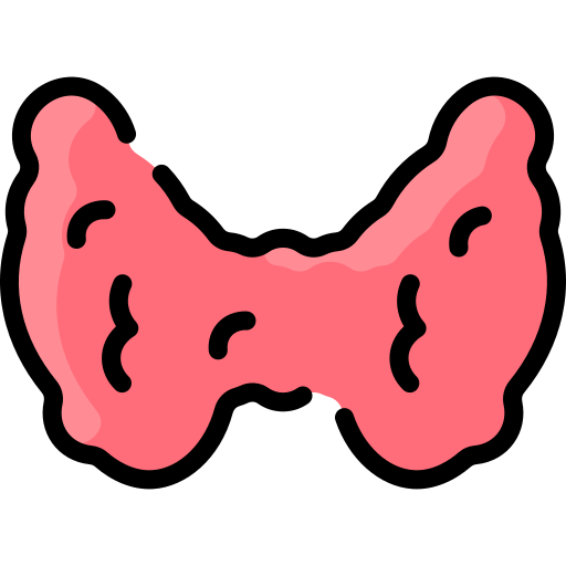 Thyroid gland free icon Thyroid gland free icon