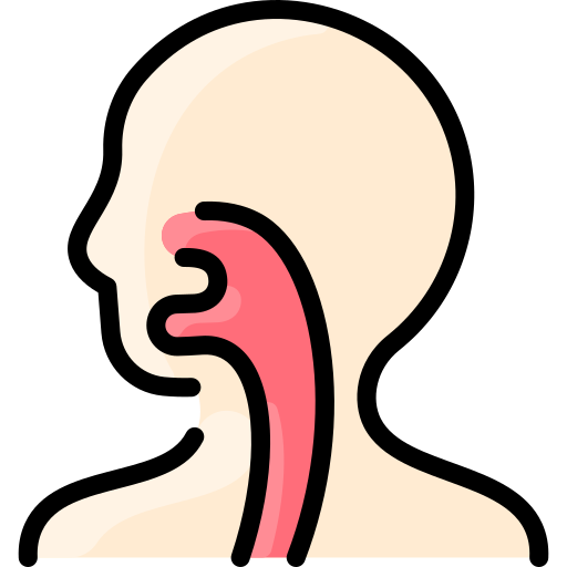 Respiratory system Vitaliy Gorbachev Lineal Color icon