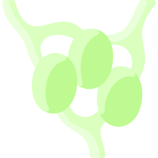 Lymph nodes free icon