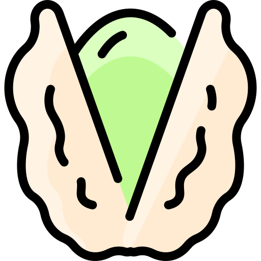 Pistachio free icon