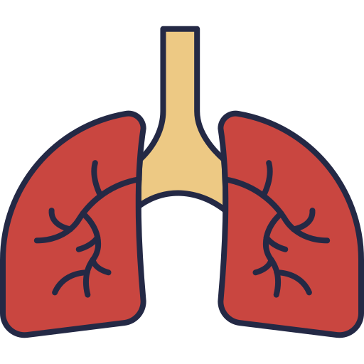 pulmones icono gratis