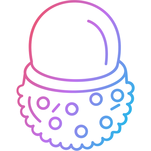 Lychee free icon