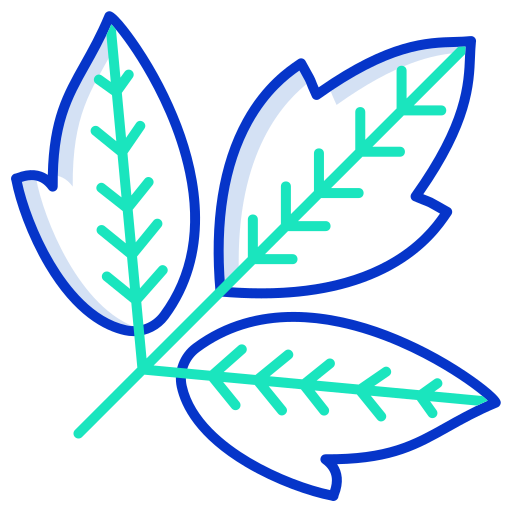 Leaf free icon