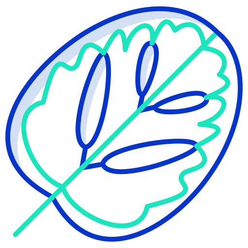Calathea free icon