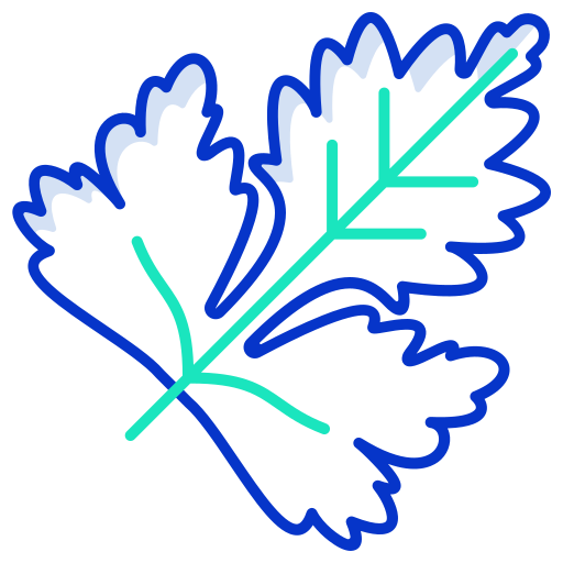 Coriander free icon Coriander free icon