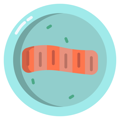 kabayaki icono gratis