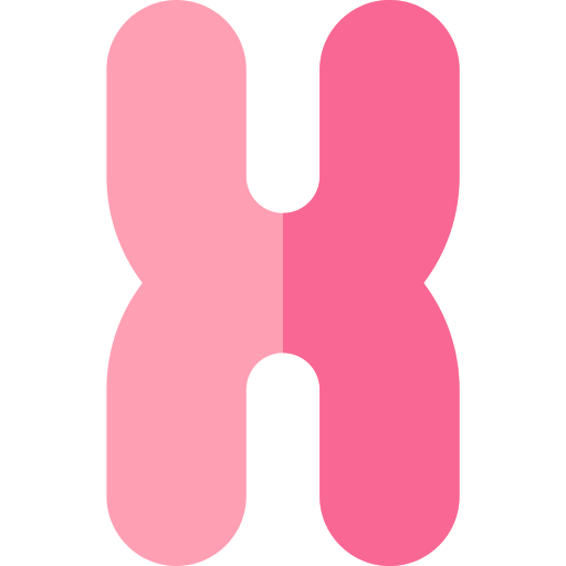 Chromosome Basic Rounded Flat icon