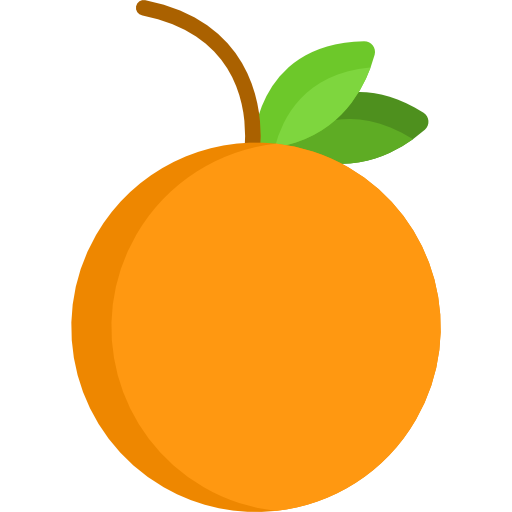 Orange Special Flat icon