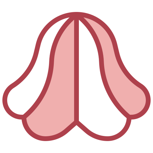 chapéu grátis ícone