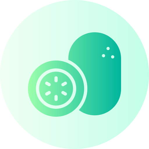 kiwi icono gratis