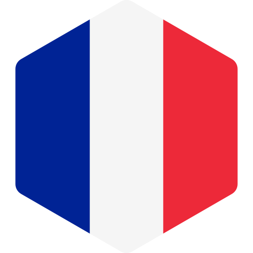 France Generic Flat icon