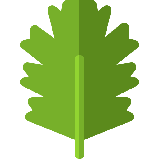 frisee бесплатно иконка frisee бесплатно иконка