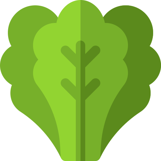 Spinach free icon