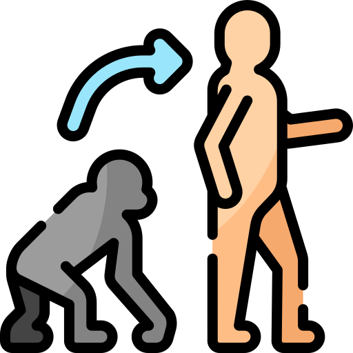 evolución icono gratis