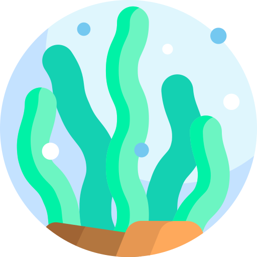 Algae - Free nature icons