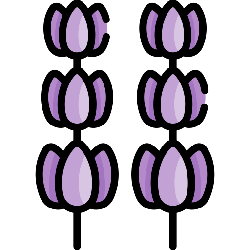 lavanda icono gratis