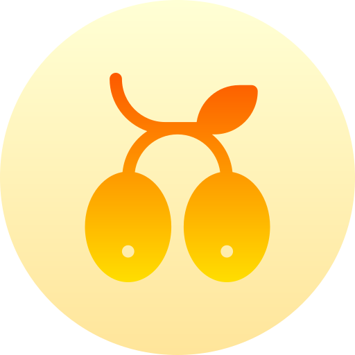 aceituna icono gratis