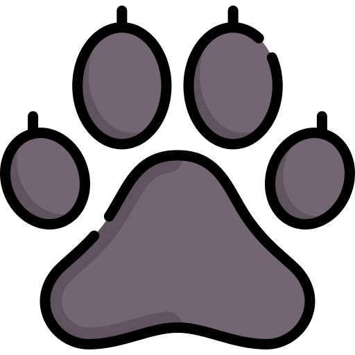 Pawprint Special Lineal color icon