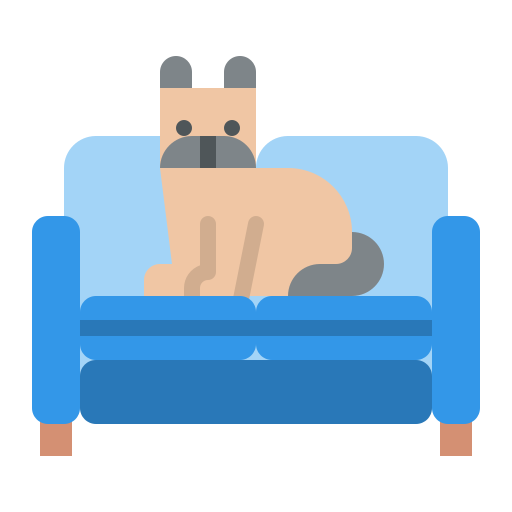 Play with pet free icon Play with pet free icon