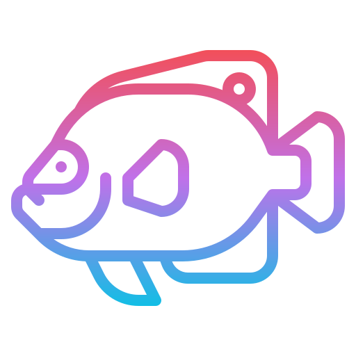 Anglefish Iconixar Gradient icon