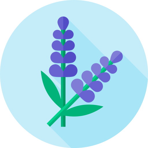 lavanda icono gratis