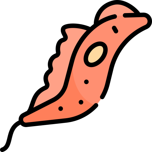 trypanosome Icône gratuit