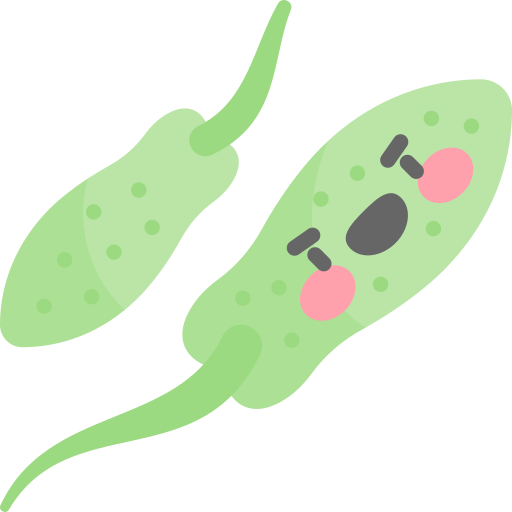 euglena icono gratis