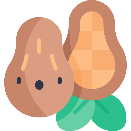 cacao icono gratis