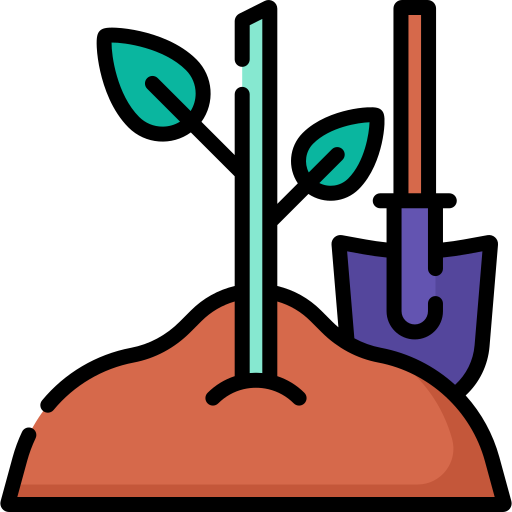 Plant Special Lineal Color Icon