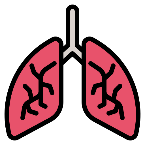 pulmones icono gratis