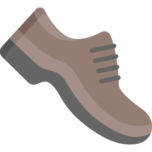 Shoe Special Flat icon