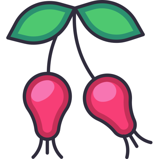 Rosehip free icon Rosehip free icon