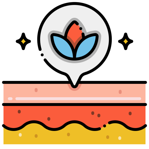 Rejuvenate Flaticons Lineal Color Icon