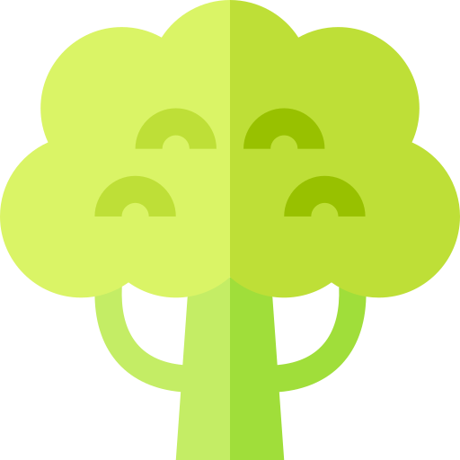 Broccoli Basic Straight Flat icon