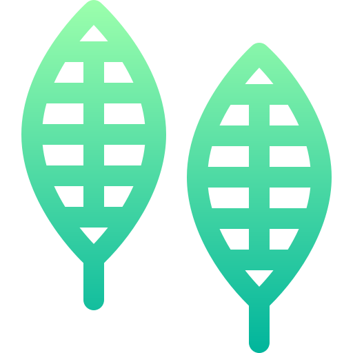 Snowshoes free icon Snowshoes free icon