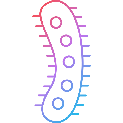 박테리아 무료 아이콘