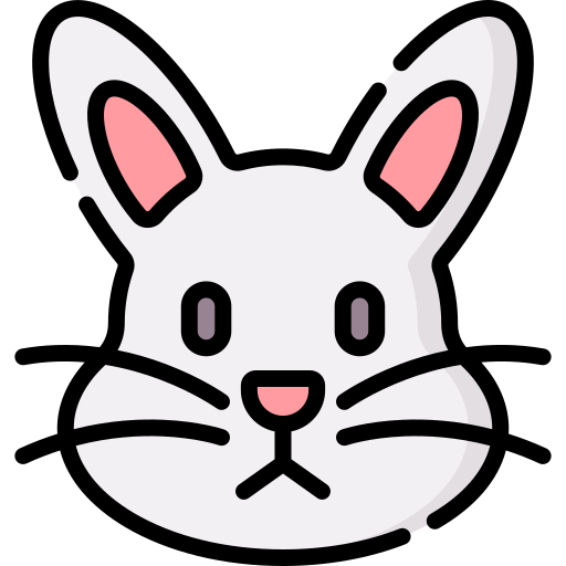 Rabbit Special Lineal color icon